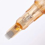 m1c6_2_1_1_1.jpg
